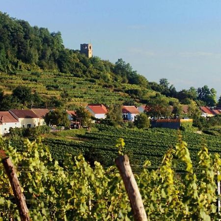 Ferienwohnung Winzergut Langenlois Exterior foto