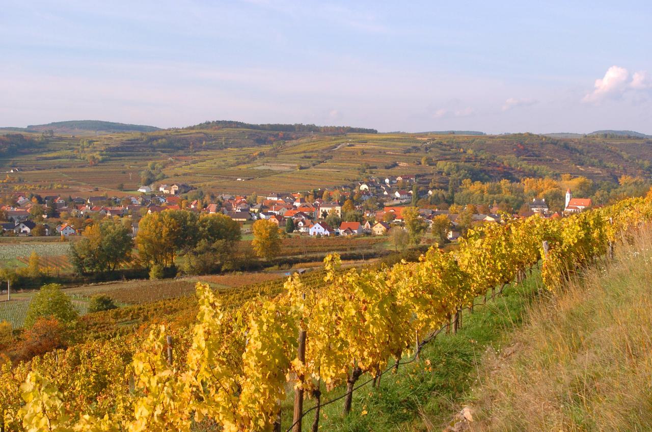 Ferienwohnung Winzergut Langenlois Exterior foto