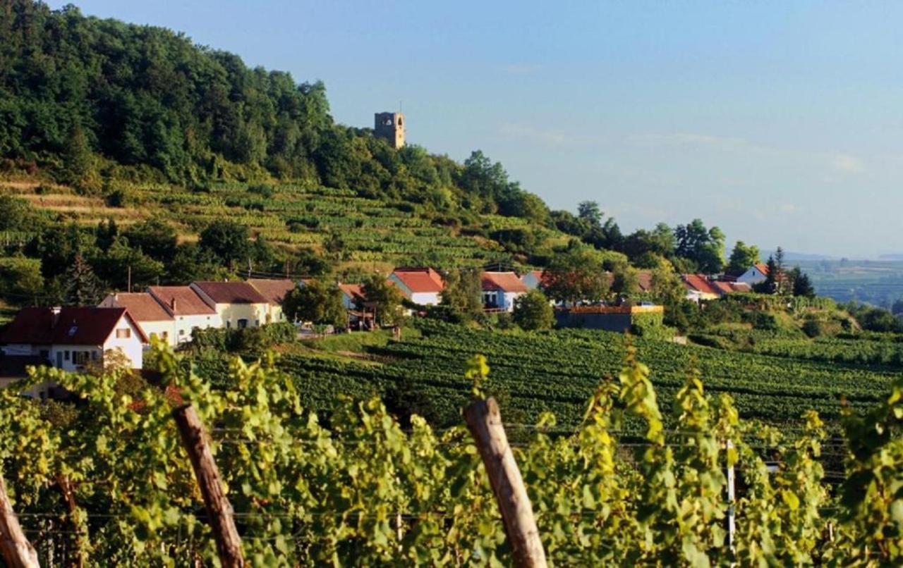 Ferienwohnung Winzergut Langenlois Exterior foto